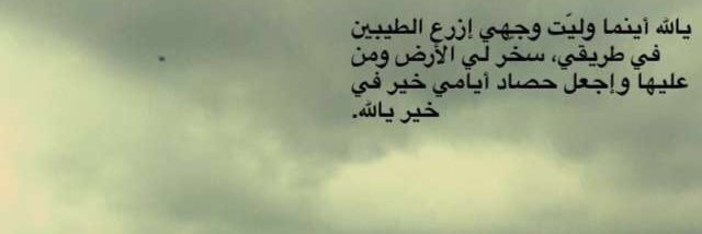 الرشيقه banner