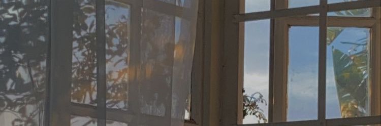 alvolunatic's profile banner image