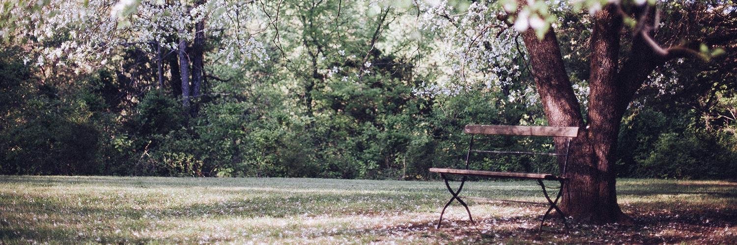 breeannapierce's profile banner image