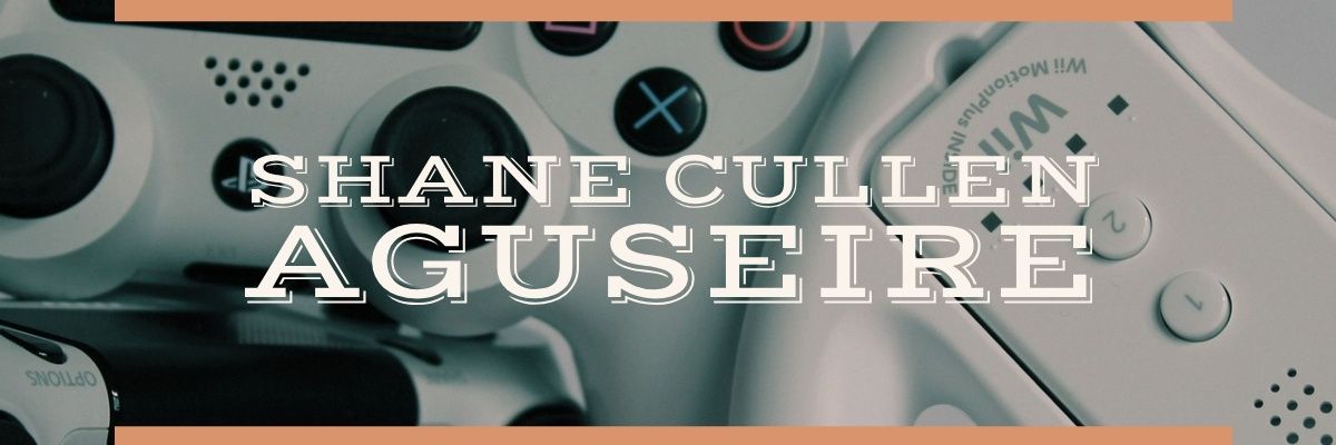 aguseire's profile banner image