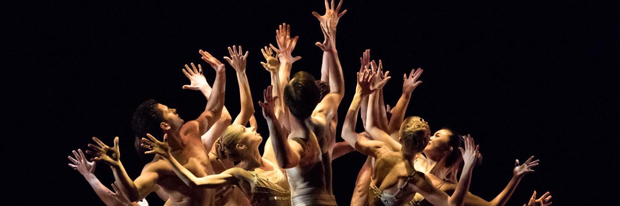 Fort Wayne Ballet banner