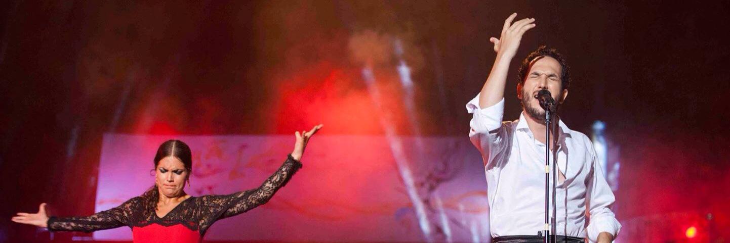 hassendoss's profile banner image