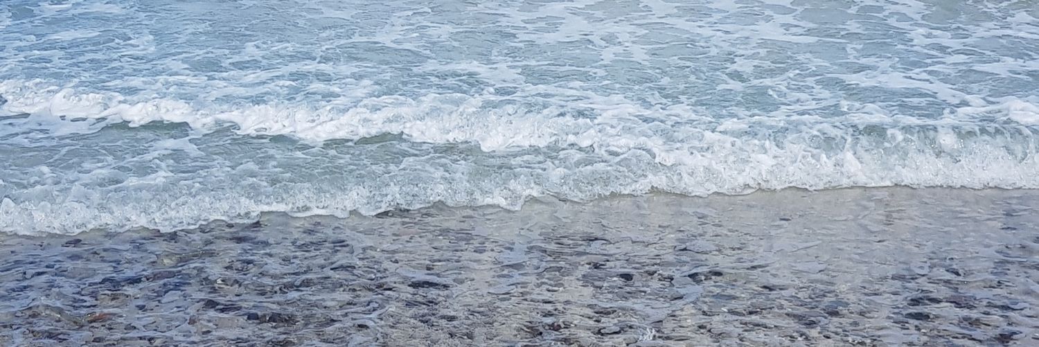 ntritd's profile banner image