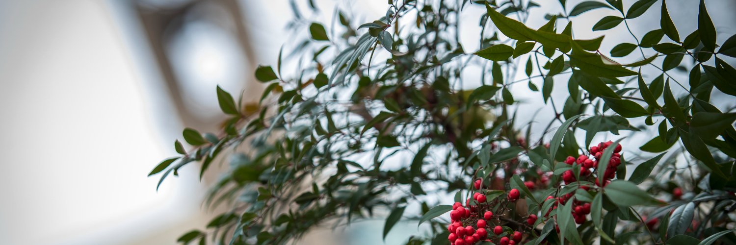 Temple College of Education and Human Development banner