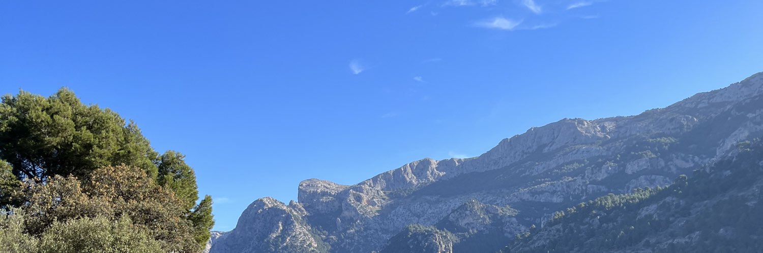 Joan Lluis Pons banner