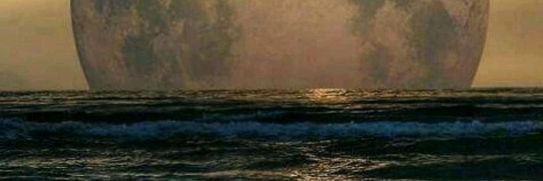Jackduarte85's profile banner image