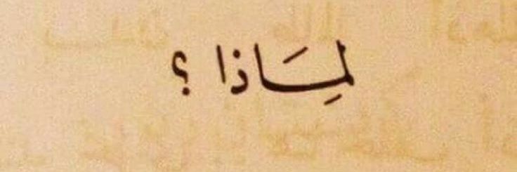 baraa_aldosari's profile banner image