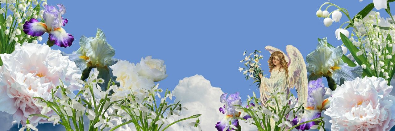 queerworm's profile banner image