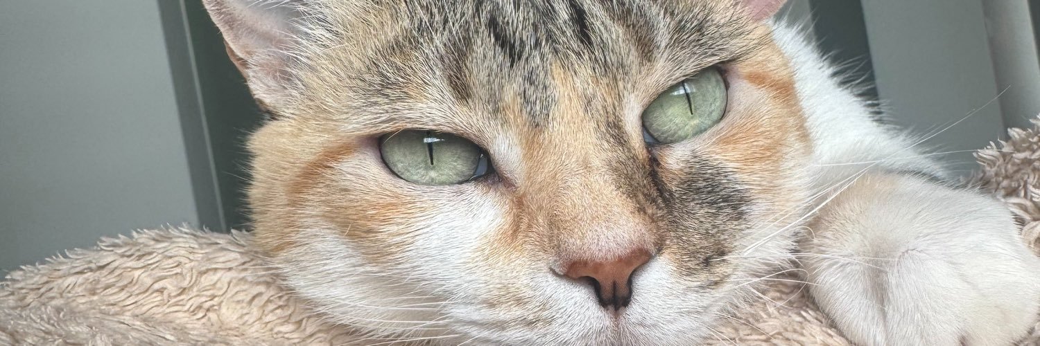 eitajuma's profile banner image