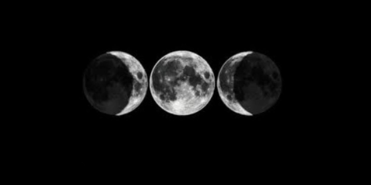 allobo__'s profile banner image