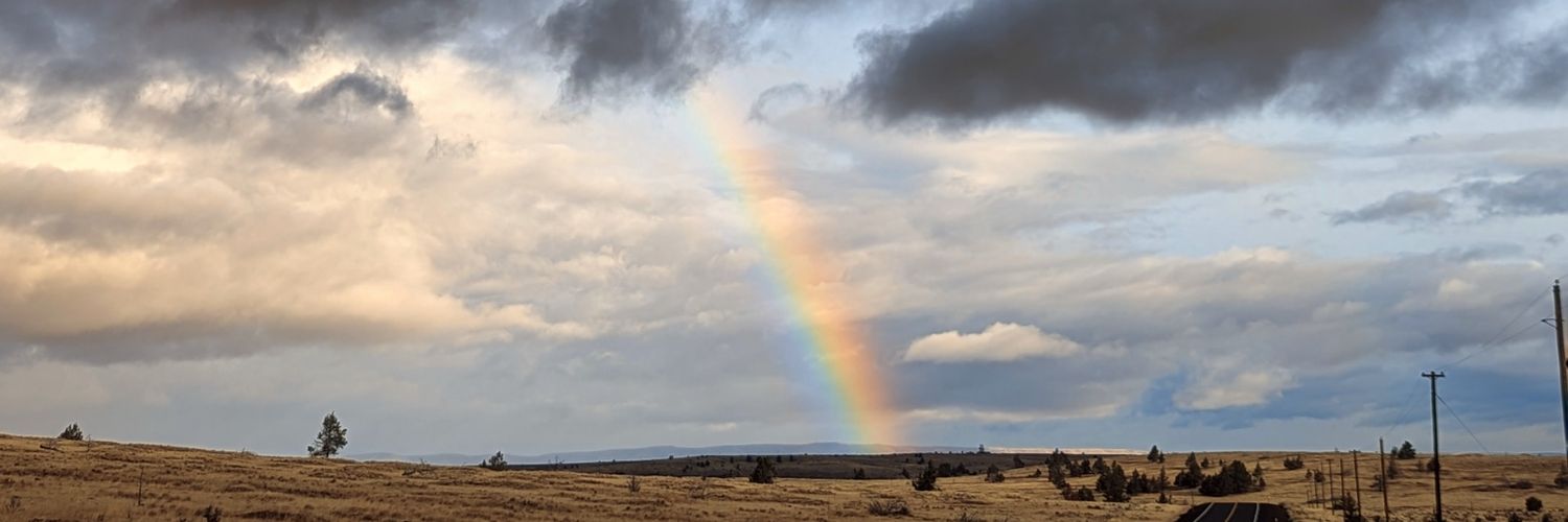 halestormmedia's profile banner image