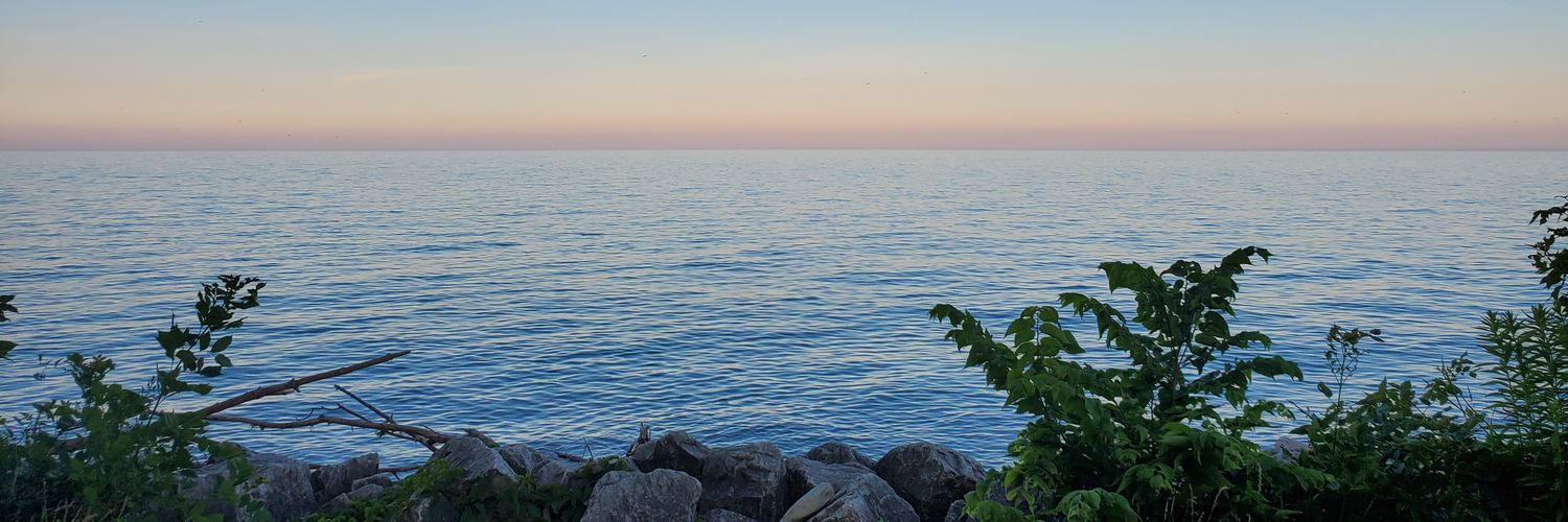 _chelledee_'s profile banner image