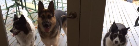 Murfield Farm banner