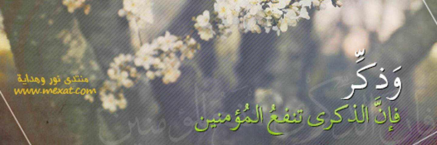 eth_muslim's profile banner image