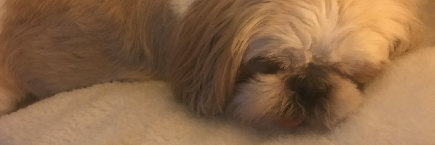 JulleeRed's profile banner image