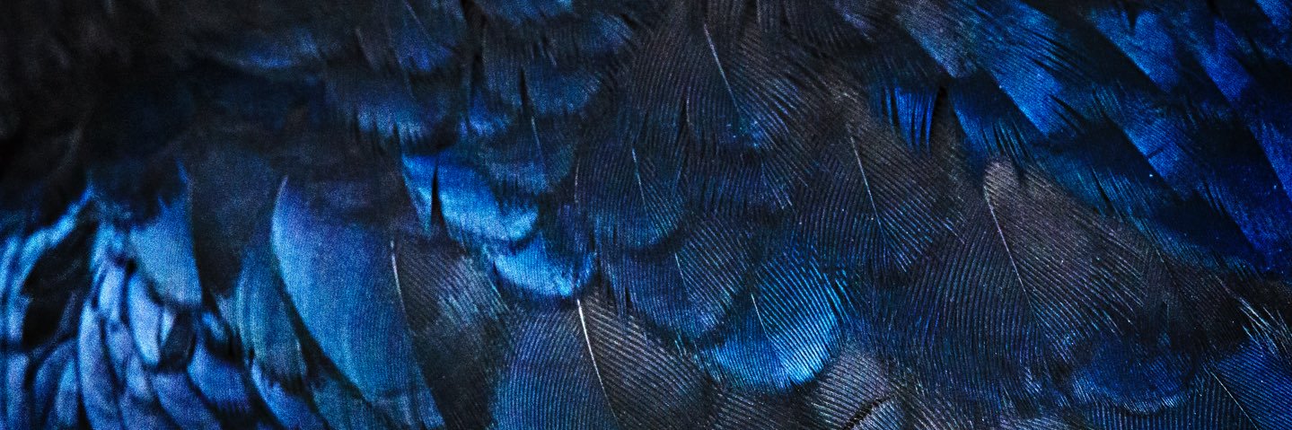 Undr_score's profile banner image