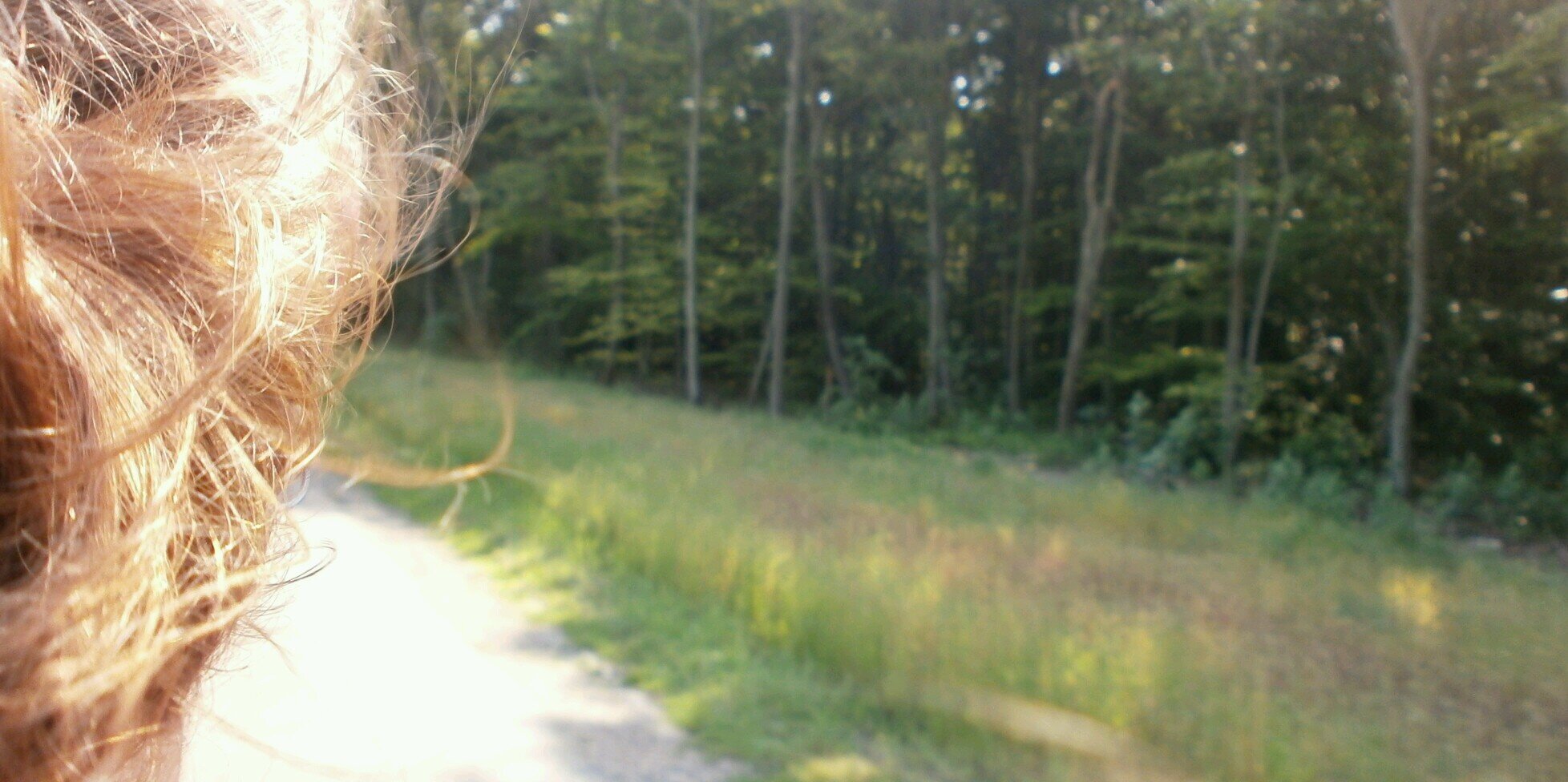 liefsteveraa's profile banner image
