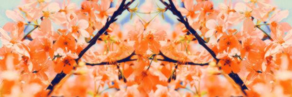 famousismo's profile banner image
