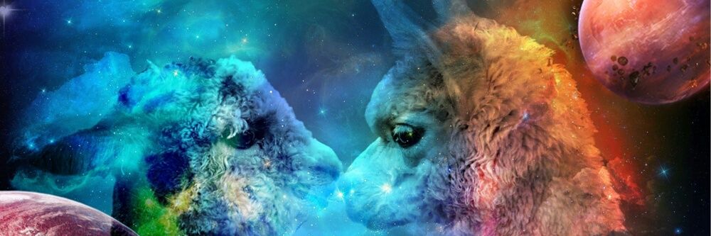 Look At That Llama banner