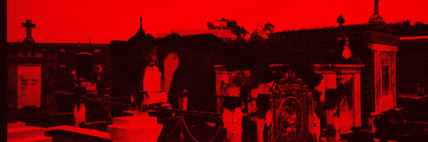 ⋆｡ z𖦹ë °⭒˚｡⋆ banner