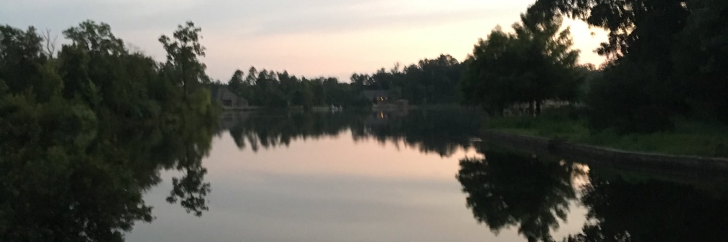 bpearce21's profile banner image