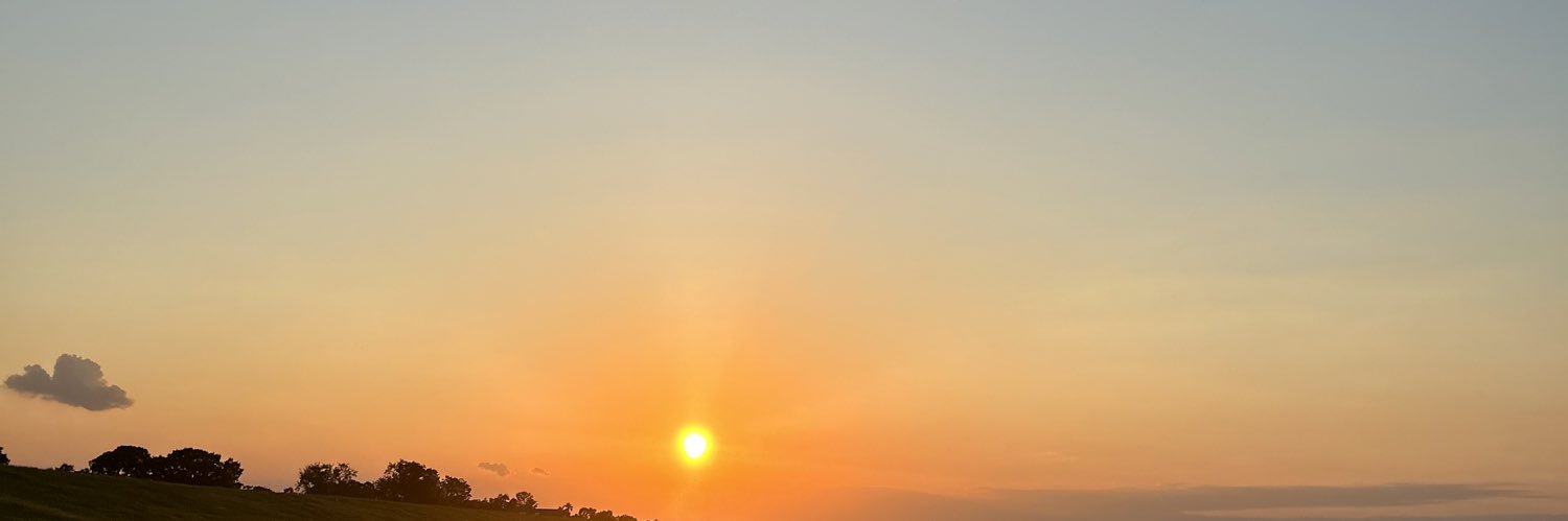 elizvbethhh's profile banner image