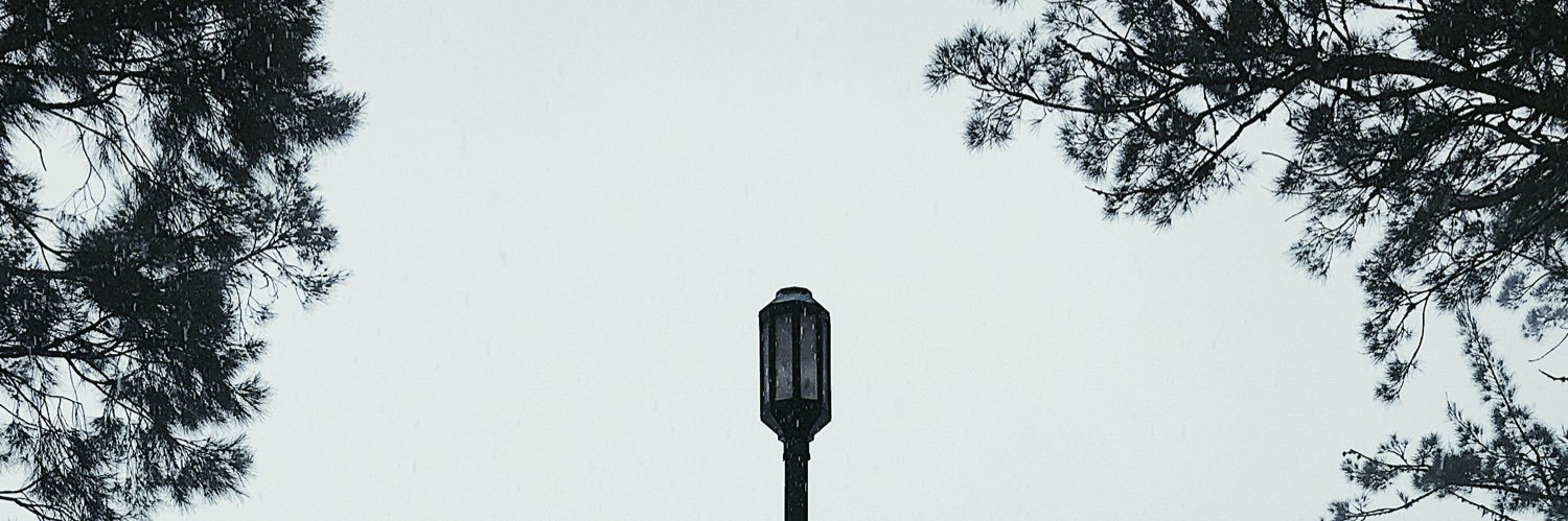 ibastard0's profile banner image