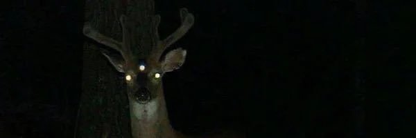 Bryan_Brownn's profile banner image