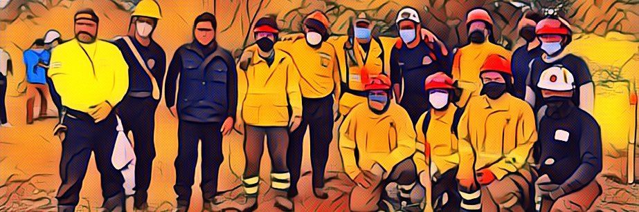 forestalesgye's profile banner image