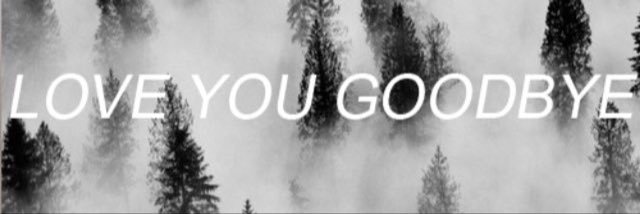 fernandeznaomi7's profile banner image