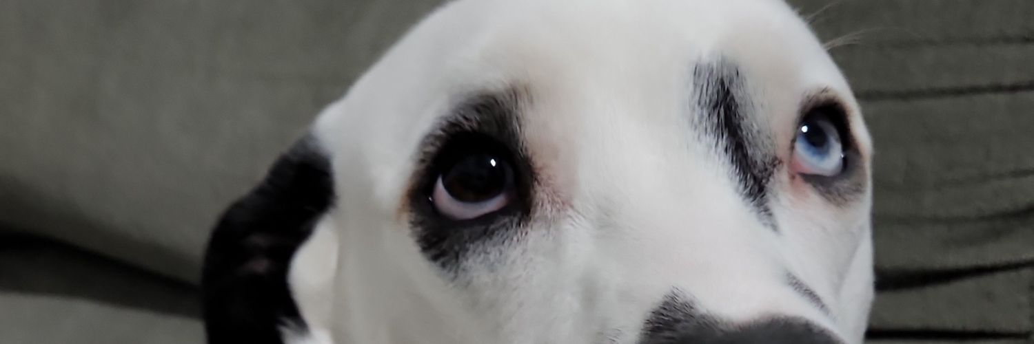 ThCaristiate's profile banner image