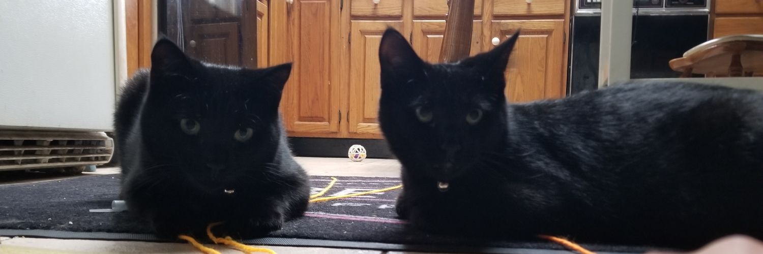 CupOJoe24's profile banner image