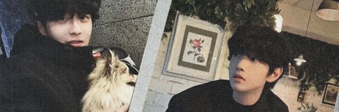 Angeline quer morango banner