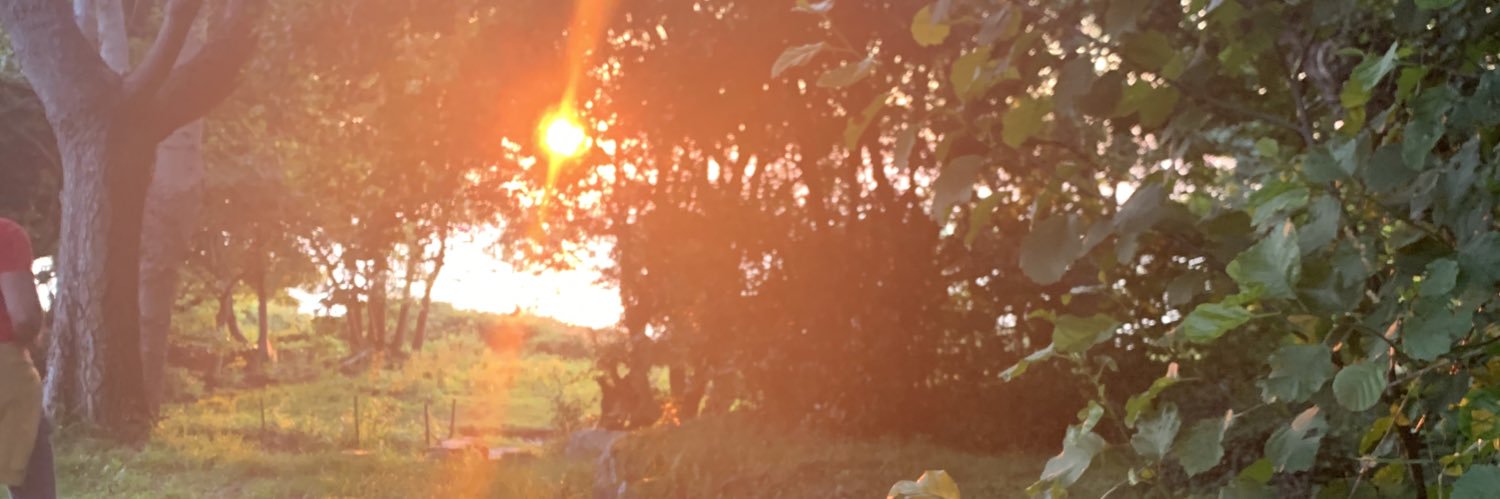 Ikraben's profile banner image