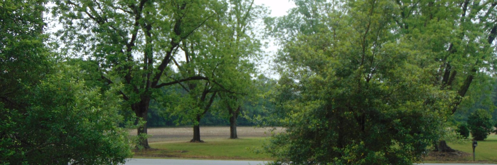 🦋IfTheresNoSeatAtTheTable-BuildABiggerTable! 🔨📐 banner