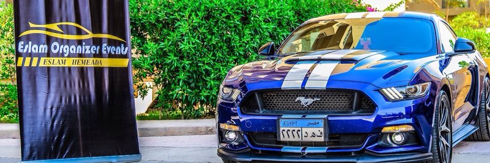 hemeada's profile banner image