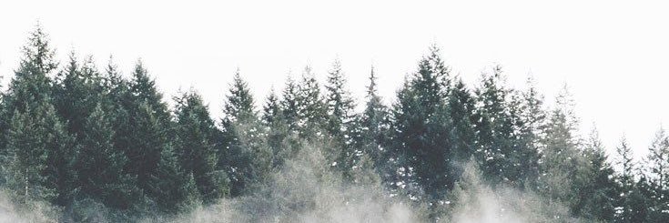 VictoriaaValcik's profile banner image