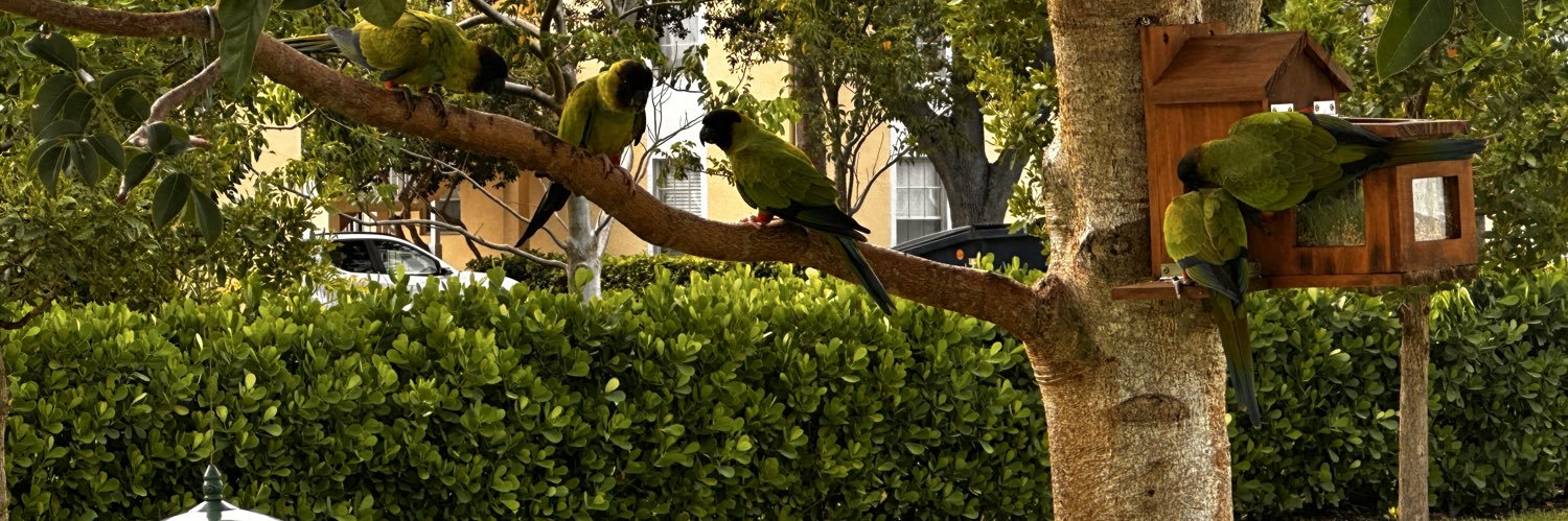 floundered 🇺🇸🦅🌊 banner