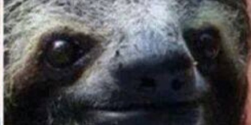FuckersOfficial's profile banner image