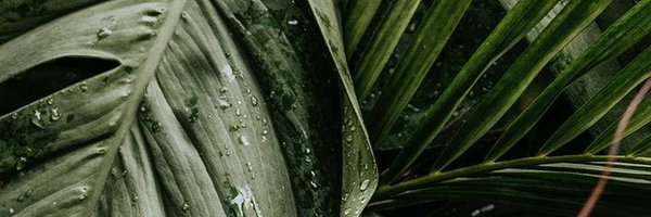 _BluRay__ Profile Banner