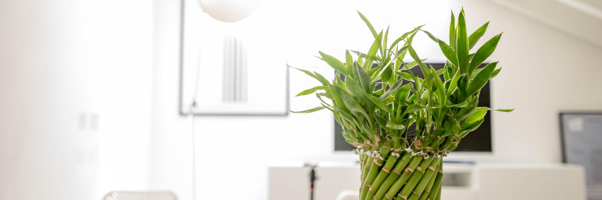 McLeanClinic's profile banner image