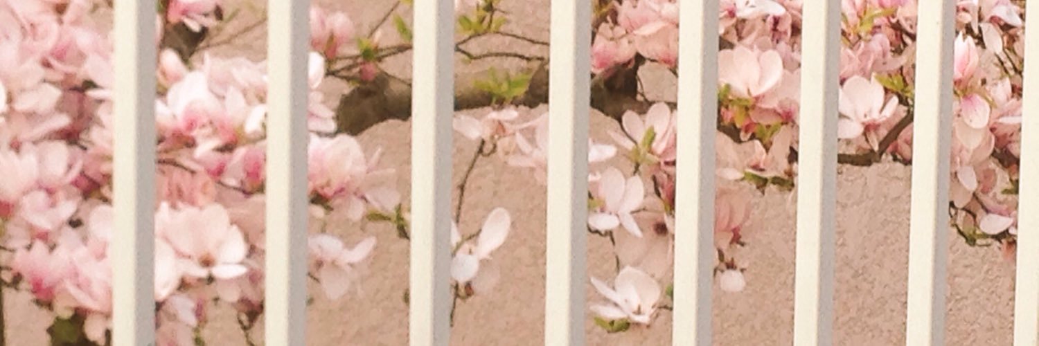 Martina Ronci banner