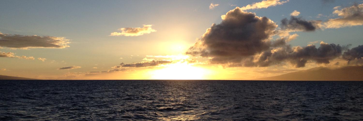 triRoss's profile banner image