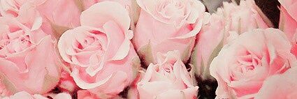 71_nair's profile banner image