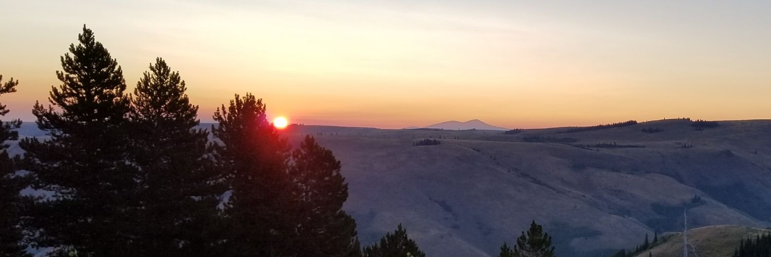 bploss18's profile banner image