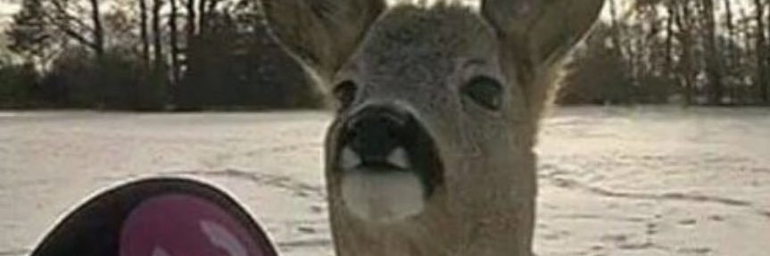 implankii's profile banner image