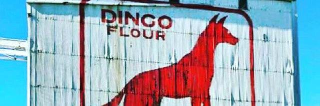 InFreo's profile banner image