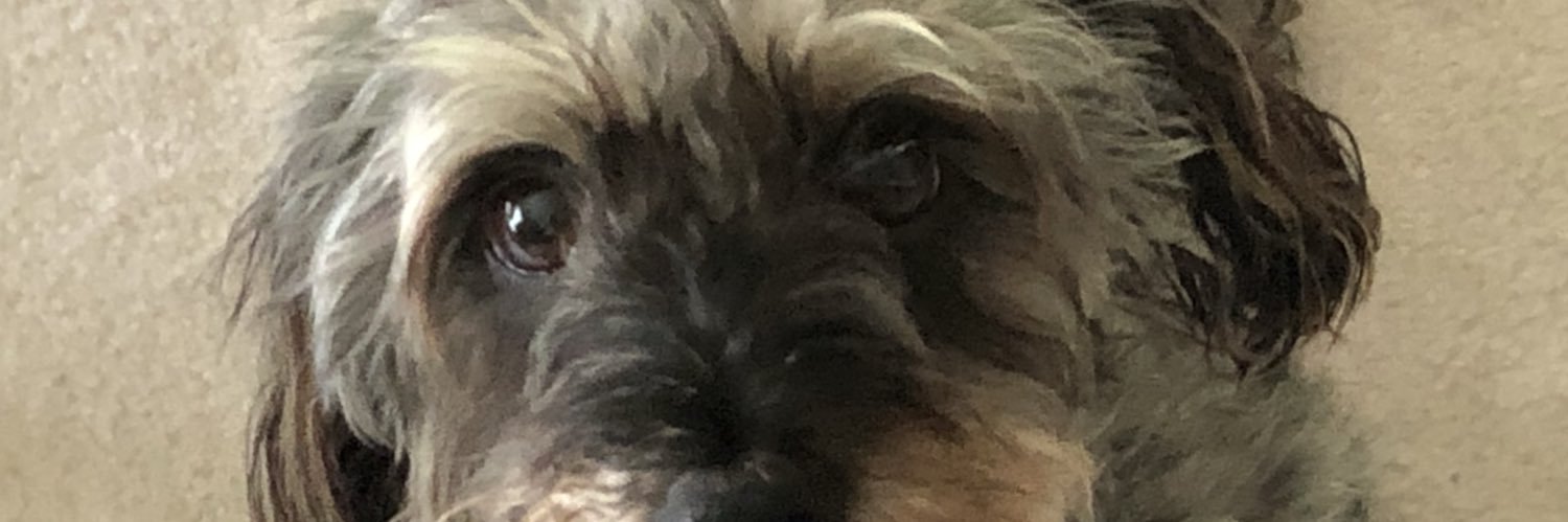 Jack Anderson banner