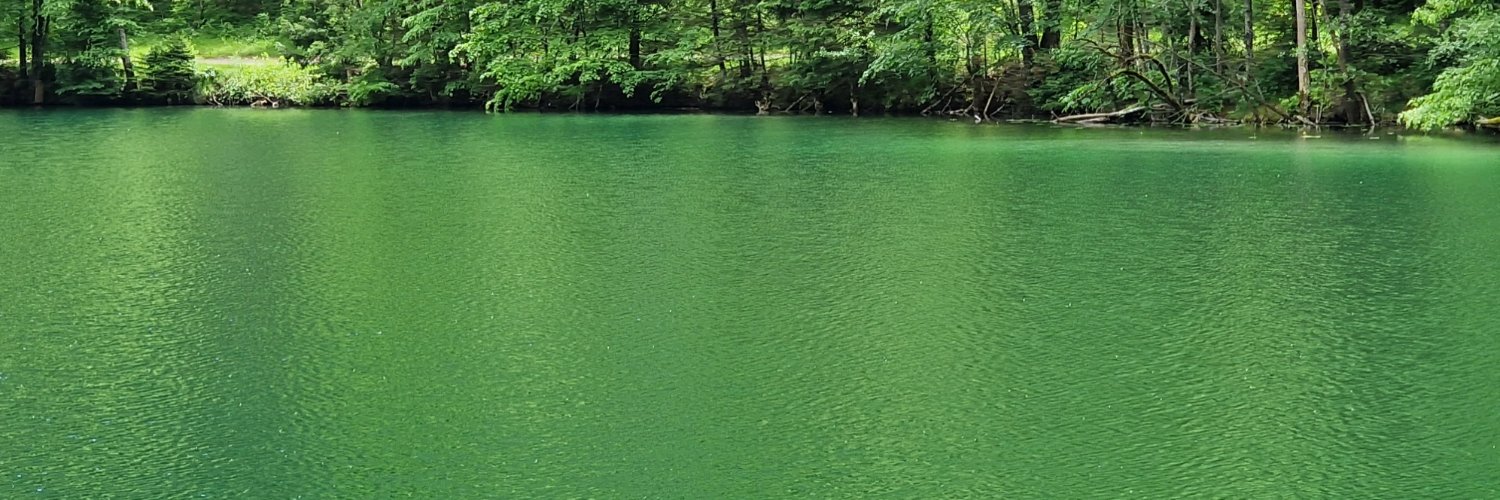 Ceetok's profile banner image