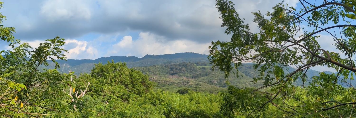 Rigoj6's profile banner image